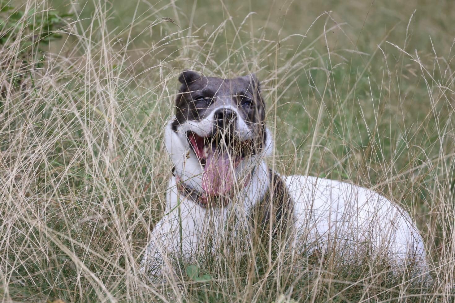 That smile says it all!