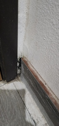 Black mold in the bathrrom