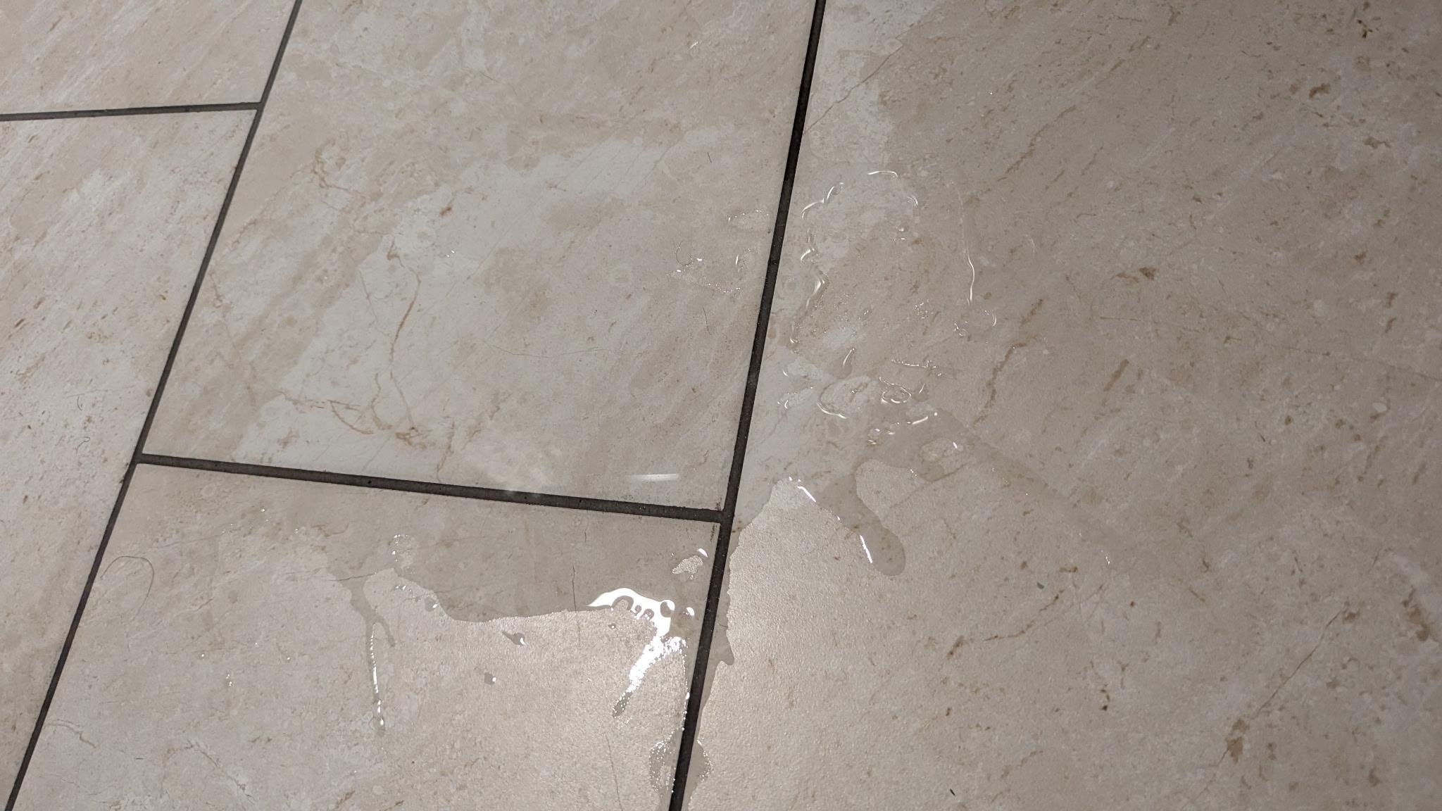 leak in floor between bathroom door threshold 5 minutes after wiping up the previous puddle