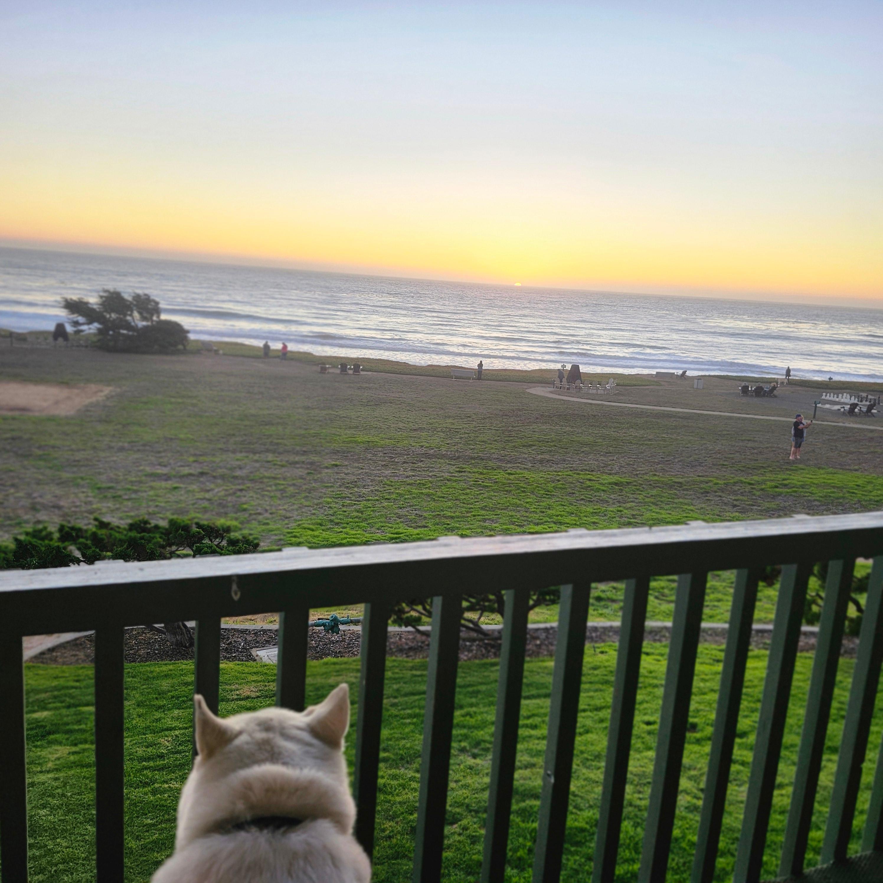 Great room with amazing views