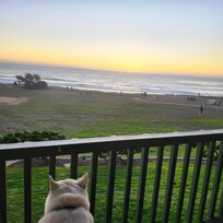 Great room with amazing views