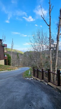 View looking down the driveway