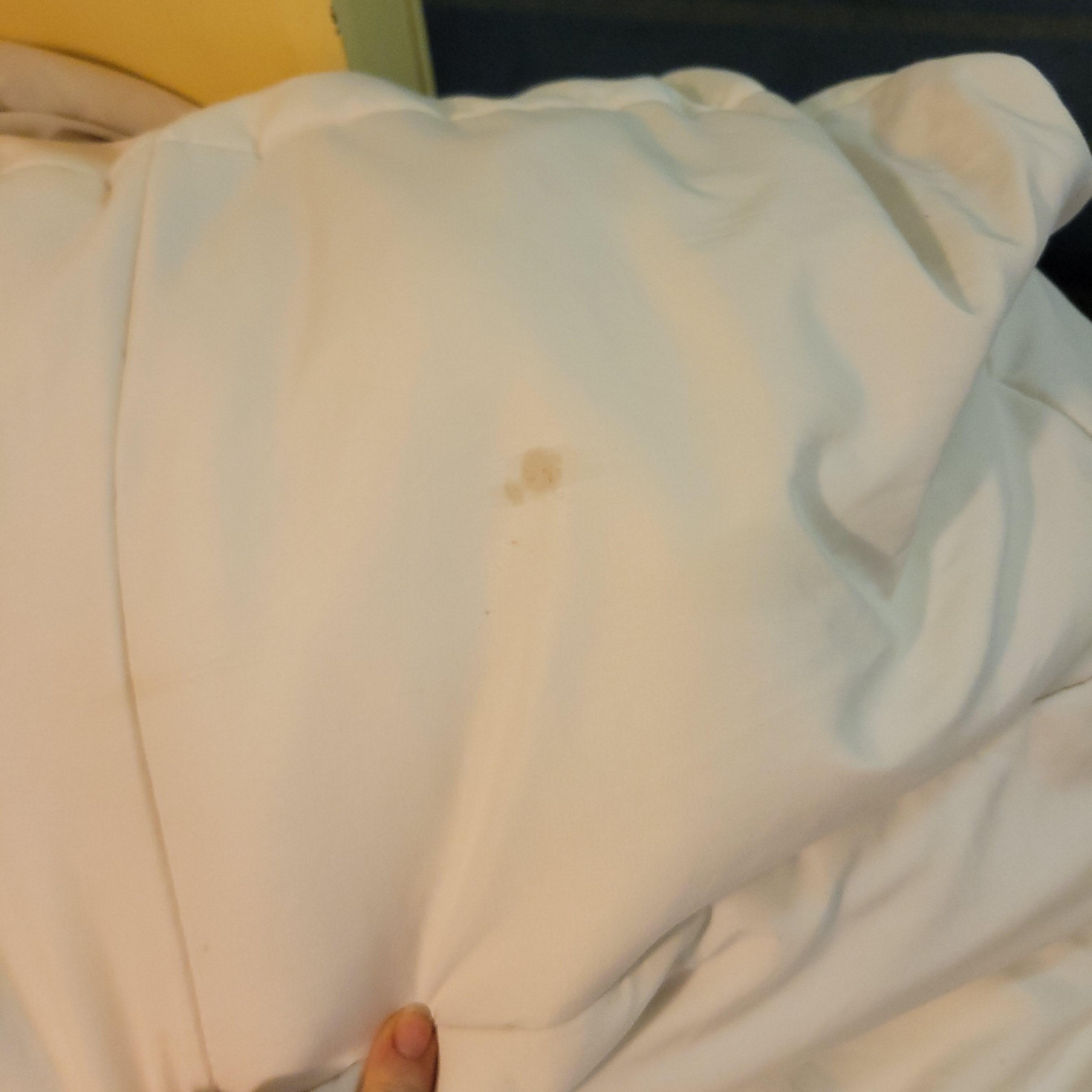 Filthy bedding