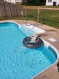 Large clean pool