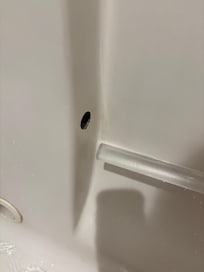 handle bar detached in tub