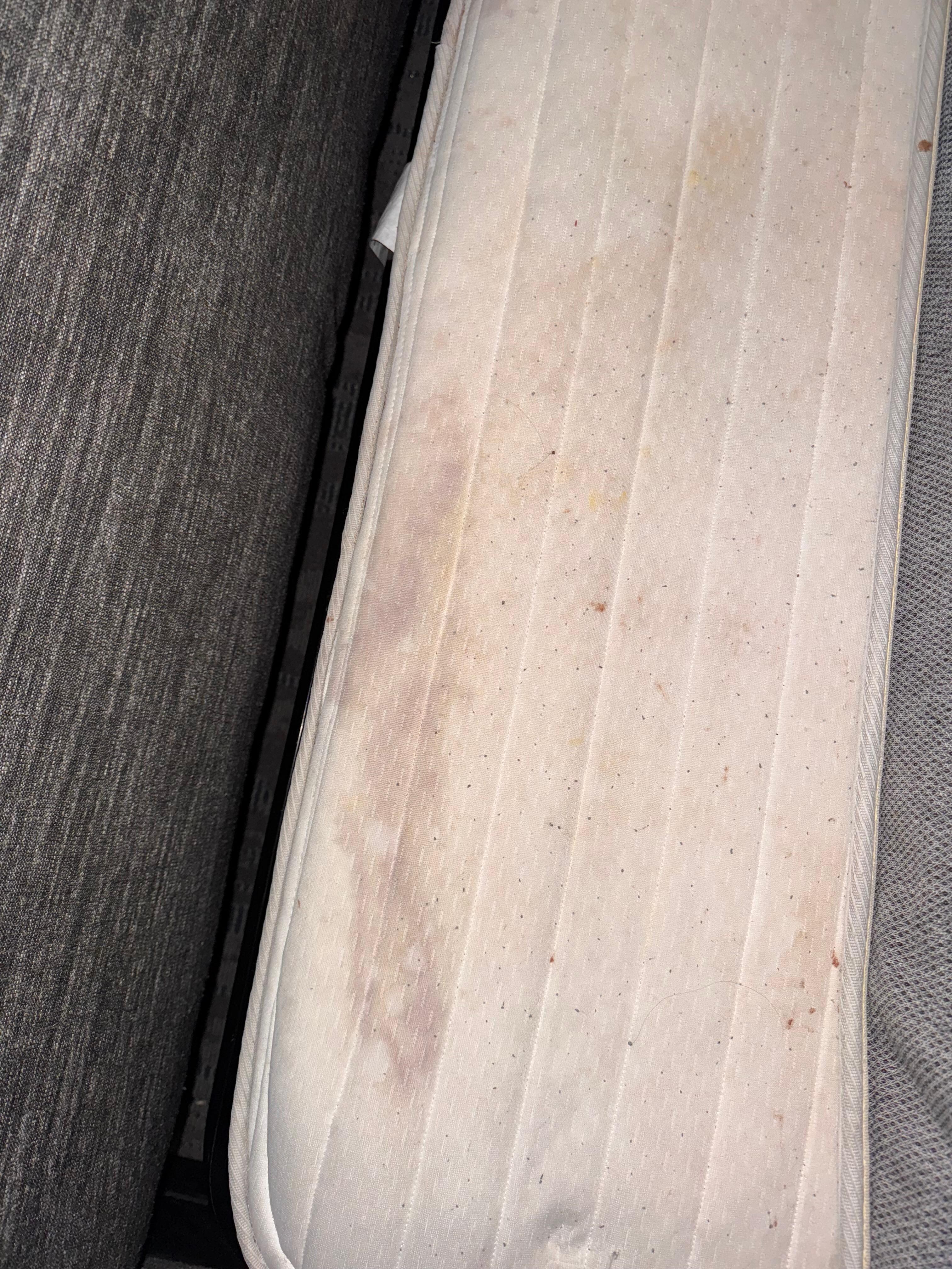 Sofa sleeper mattress 