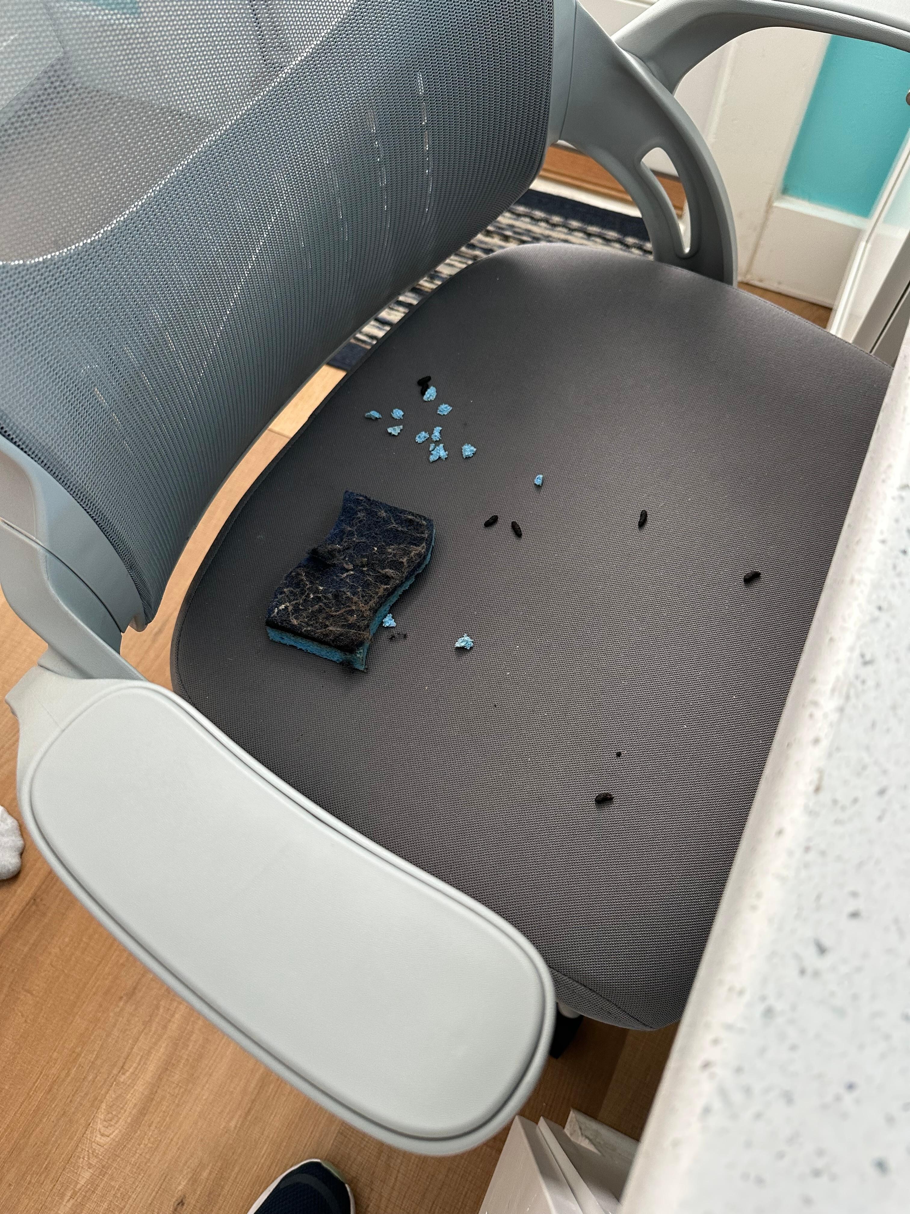 The unwelcome visitor’s remnants