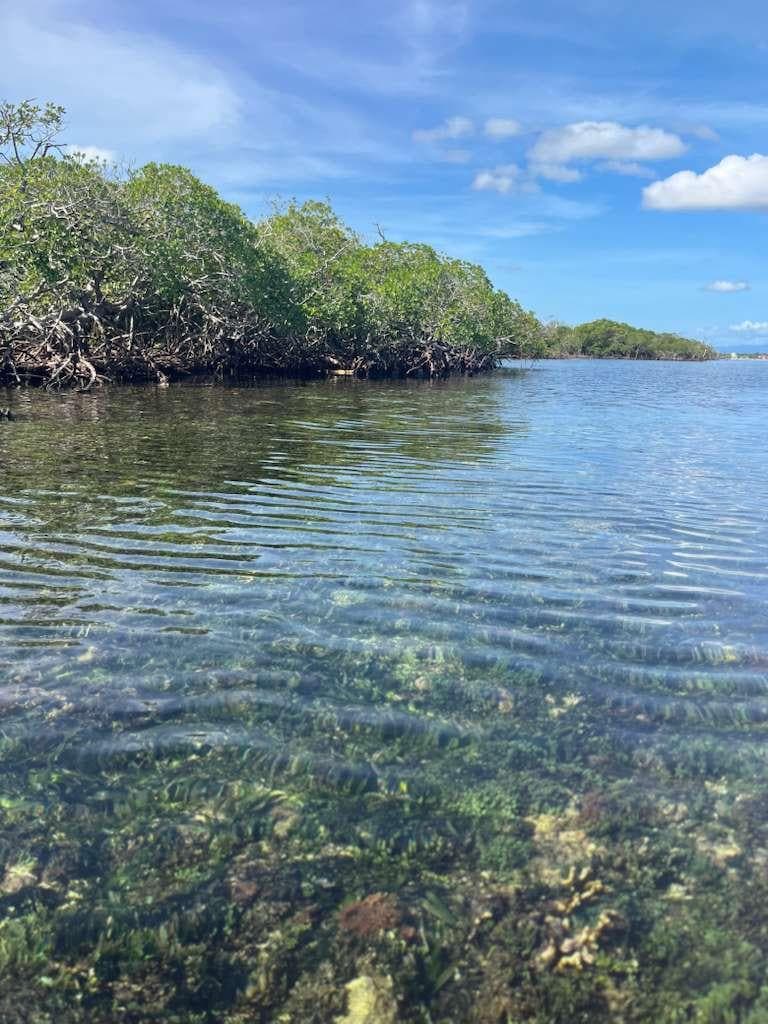 Paddle to the island and enjoy the snorkeling on the North end