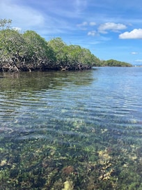 Paddle to the island and enjoy the snorkeling on the North end