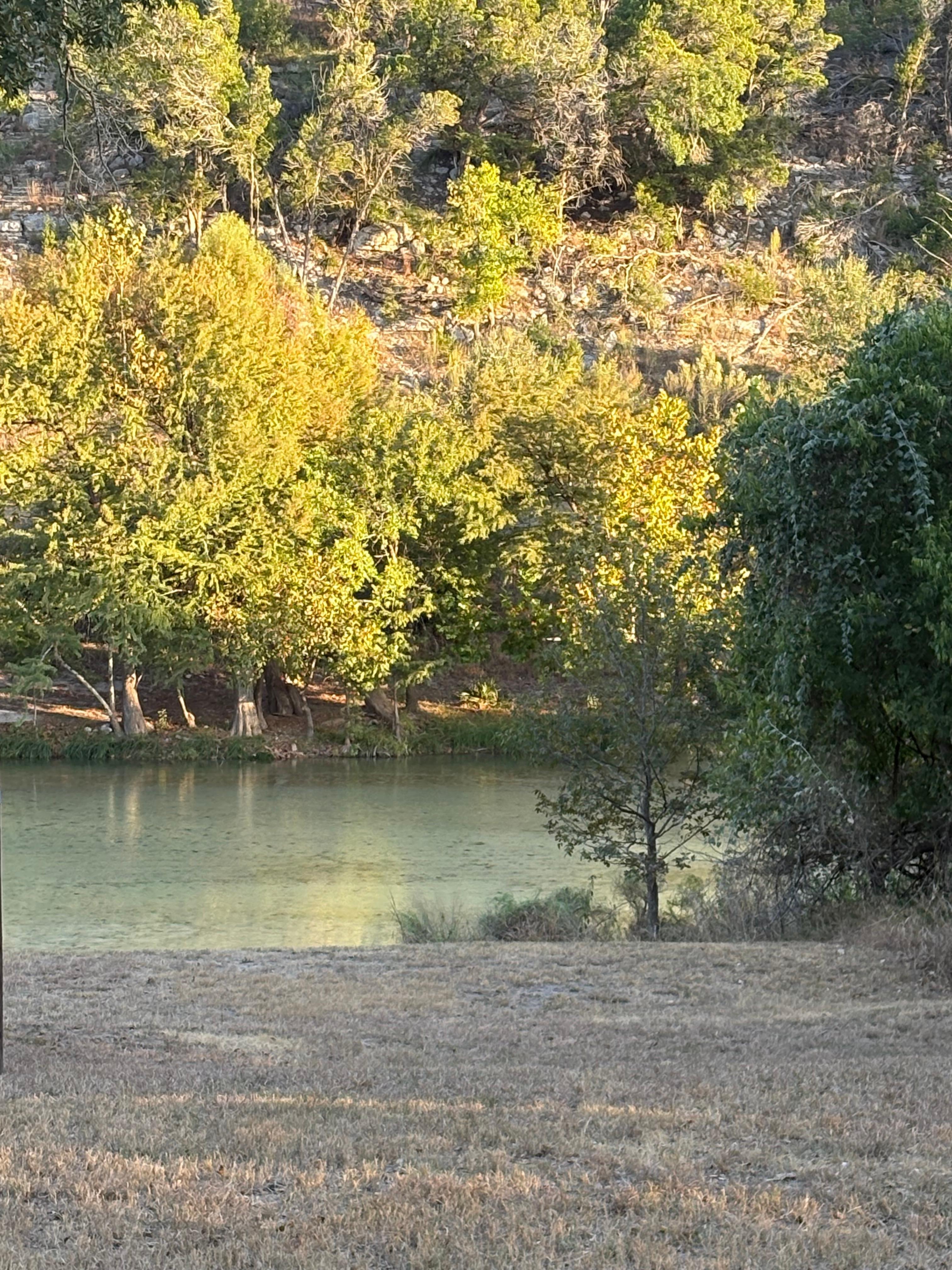 View of the Blanco River from the back yard 