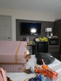 Fridge, microwave, Tv