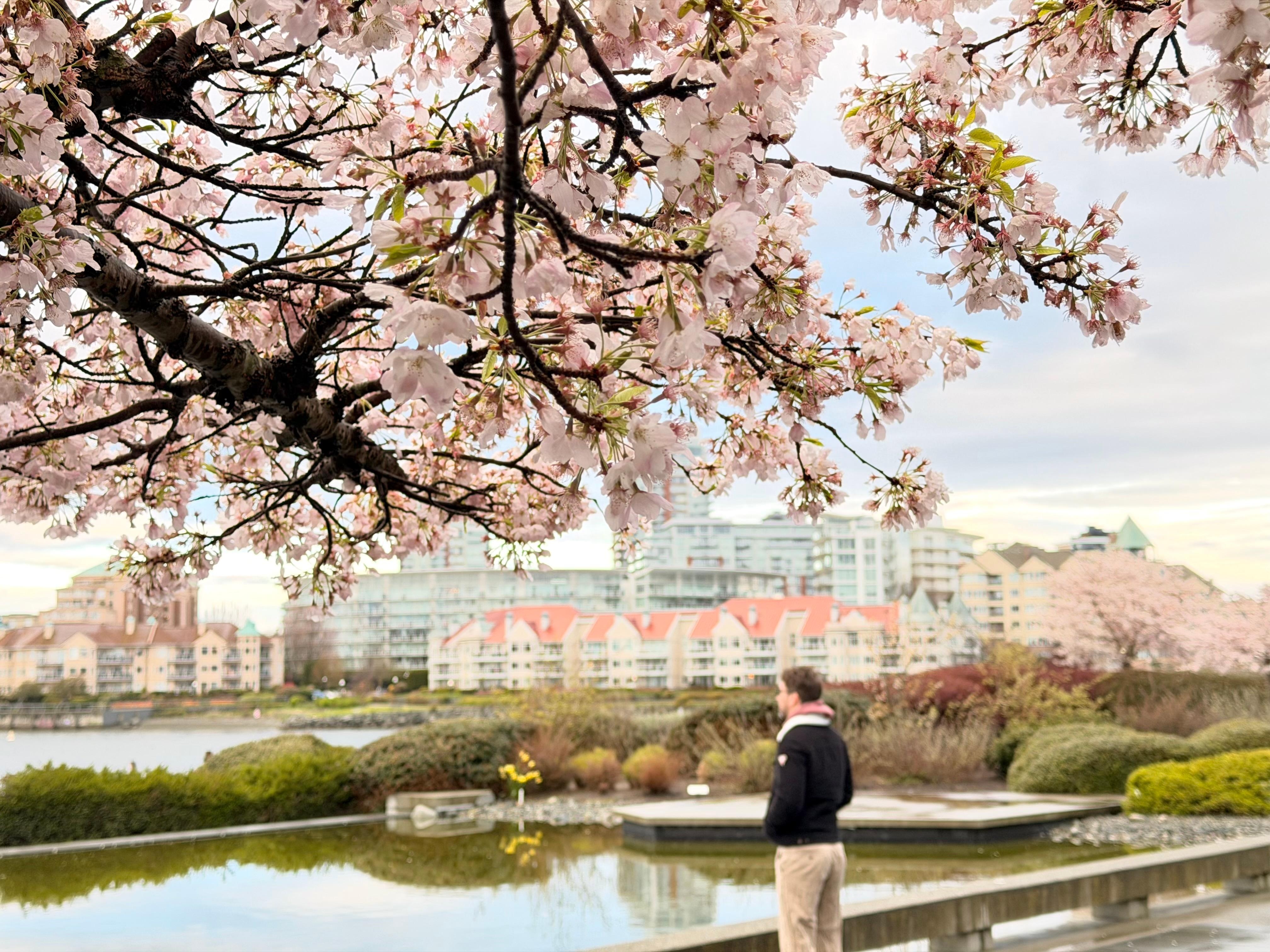 Hotel garden in the morning