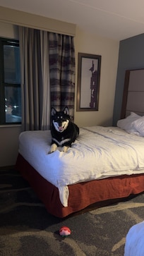 My girl laying on the bed 💙💜🩷