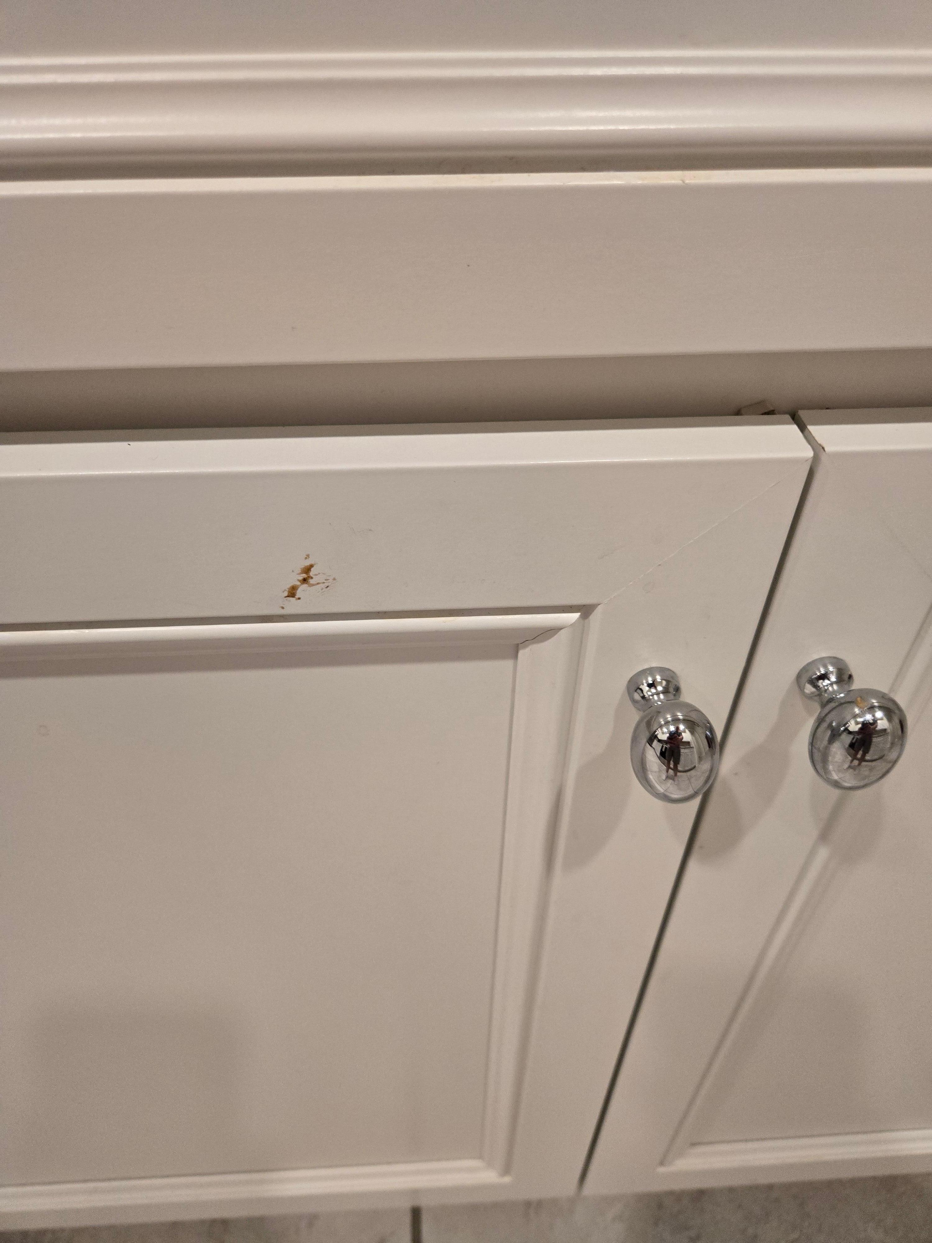 Food/Debris on Kitchen Cabinet