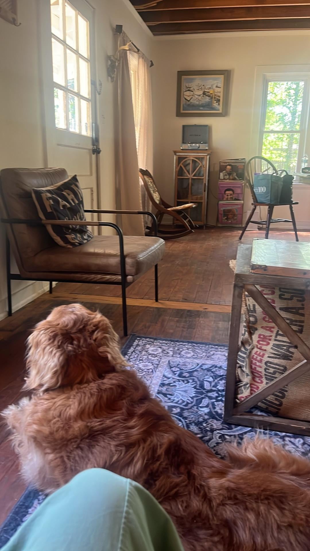 Quiet time with my best boy!