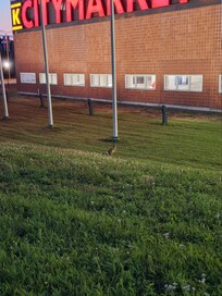 Local fauna.