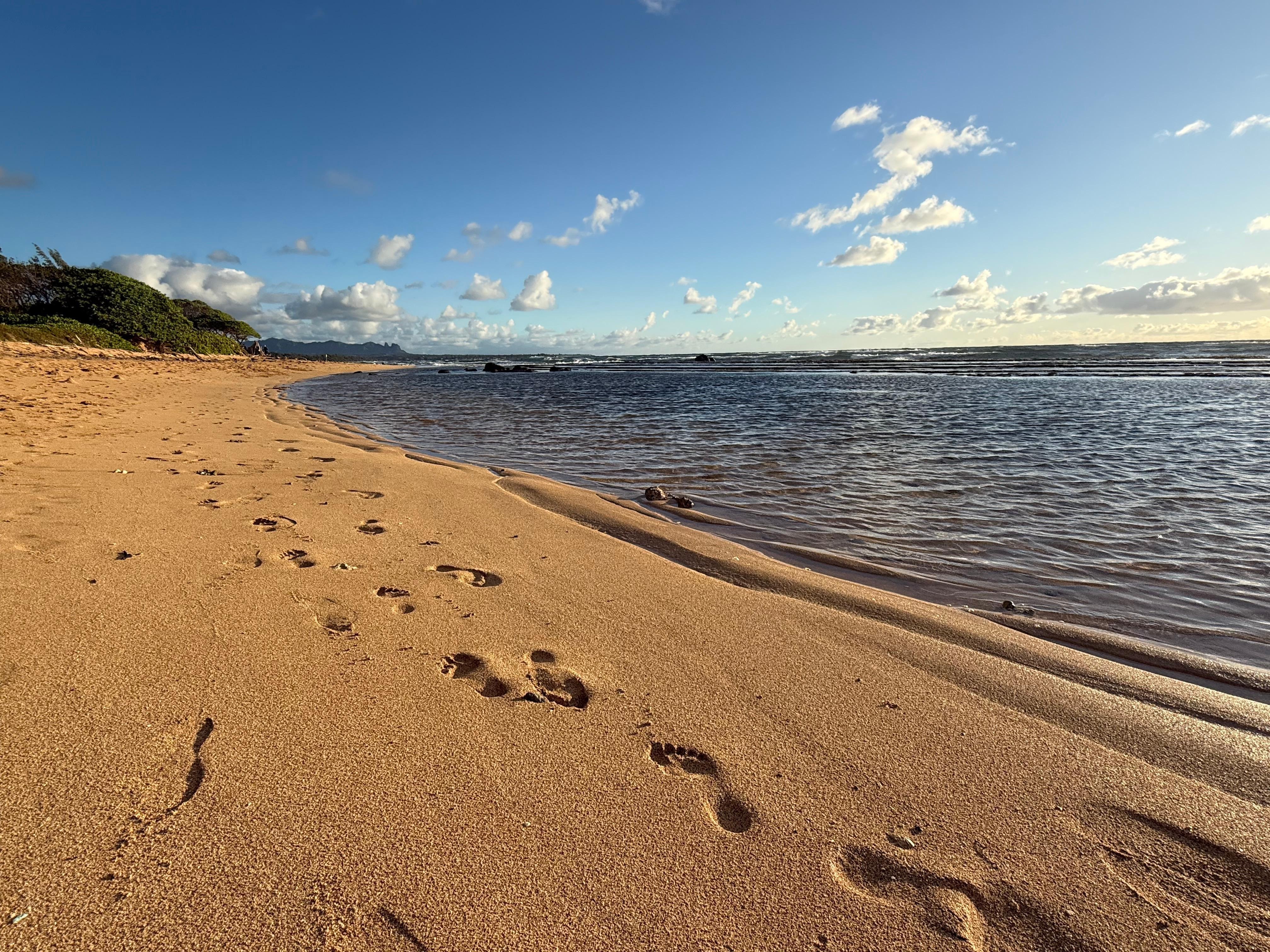 Looking north to Kapaa