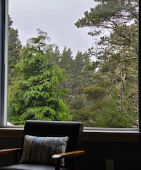 Living room view