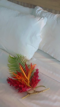 Sheets were not changed had a bad smell