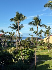 Daytime view from lanai