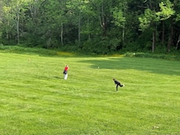 Wiffle ball