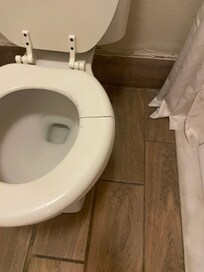 Broken toilet seat