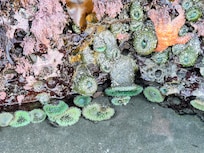 Morning tide pools on the beach.