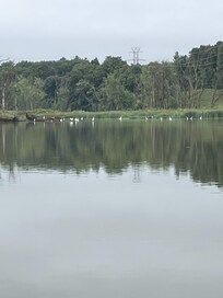 The view from the Dock!