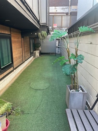 Outdoor area