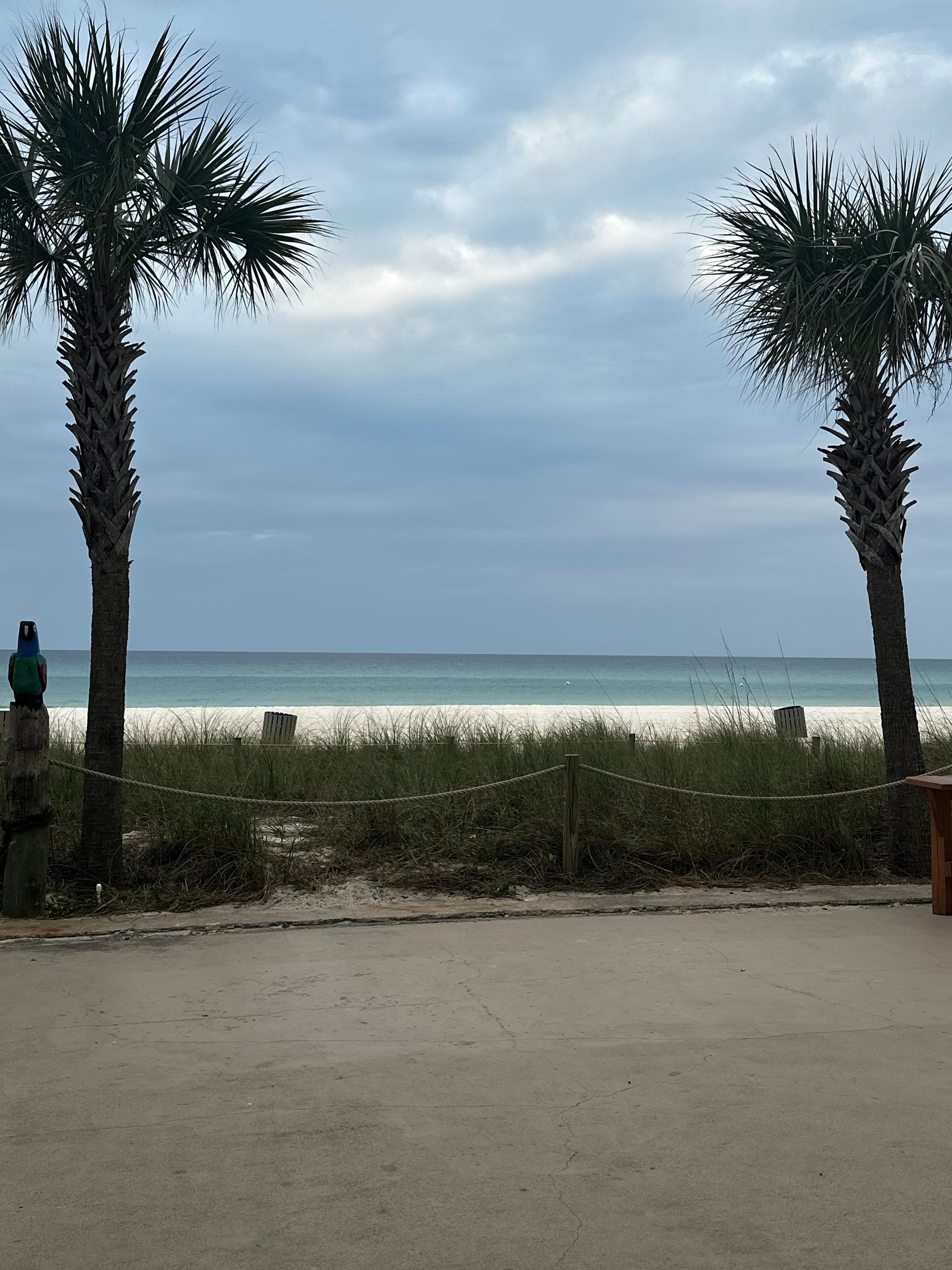 View from patio