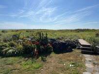 View from the deck