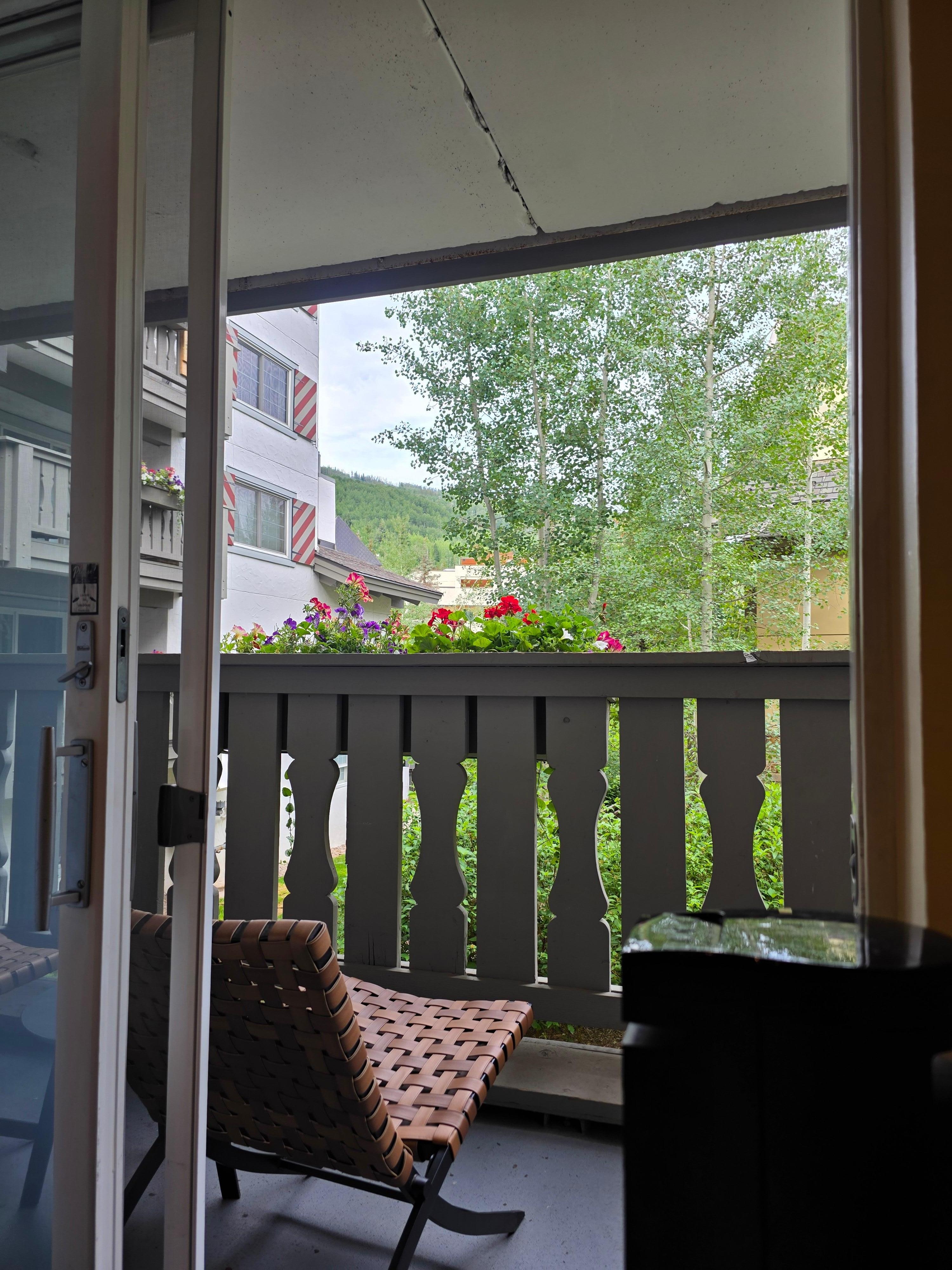 Loved watching hummingbirds on the balcony 