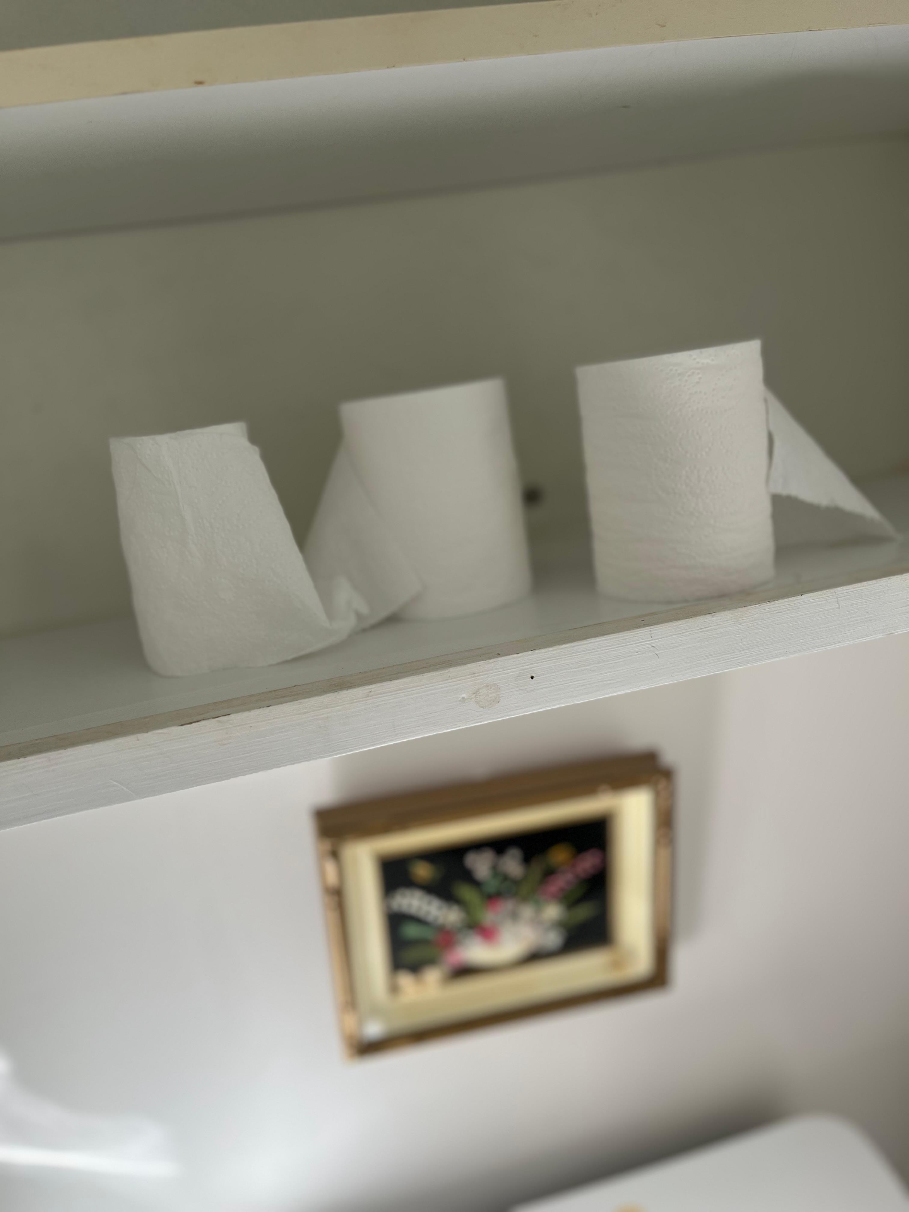 Only 3 used Tp rolls available besides the one on the holder.