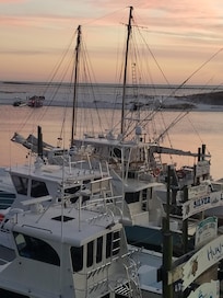 Too many sites around Destin to post. You'll have to go and see for yourself.