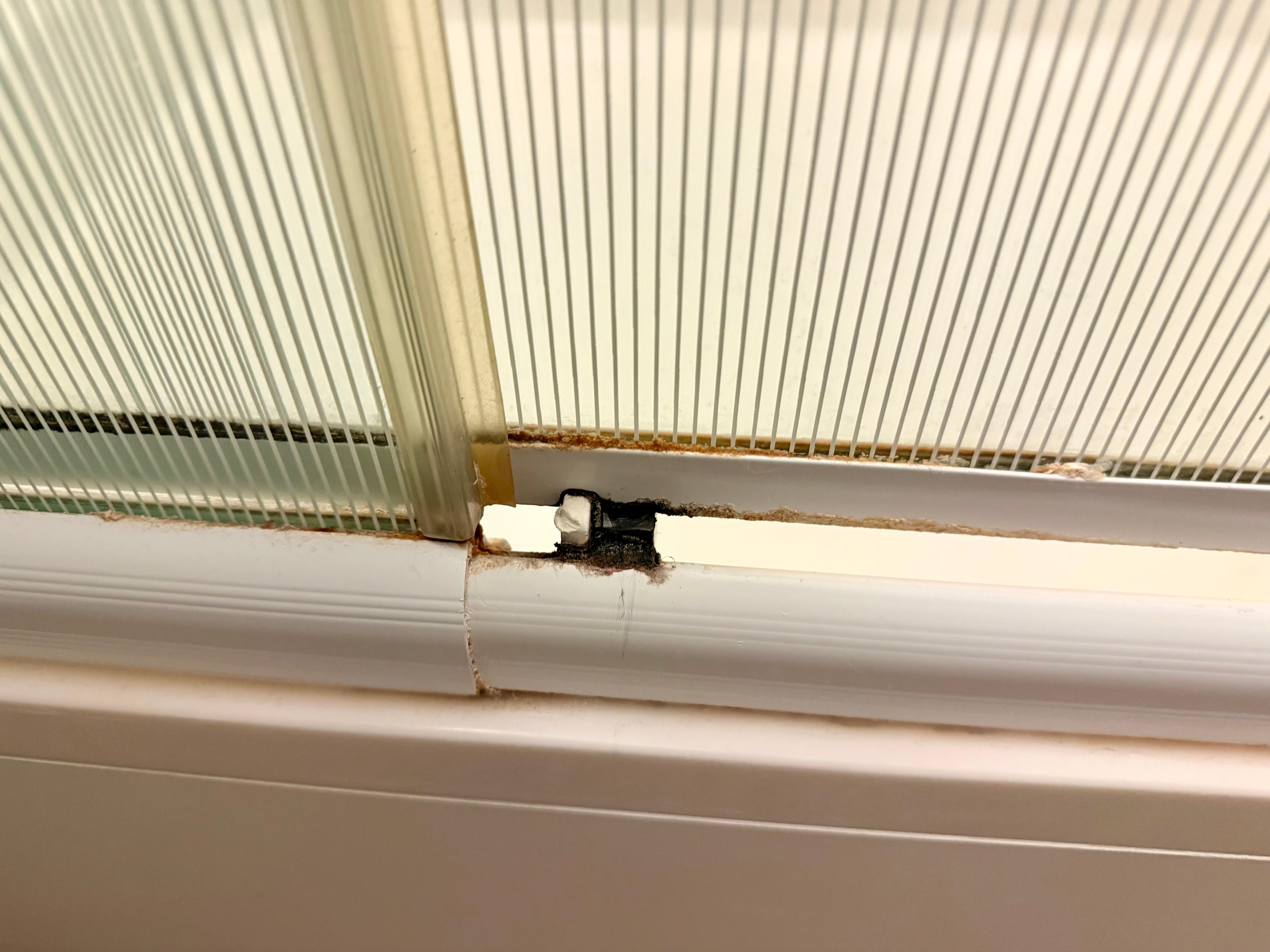 Nicht nur die Dusche ist sehr ungepflegt 