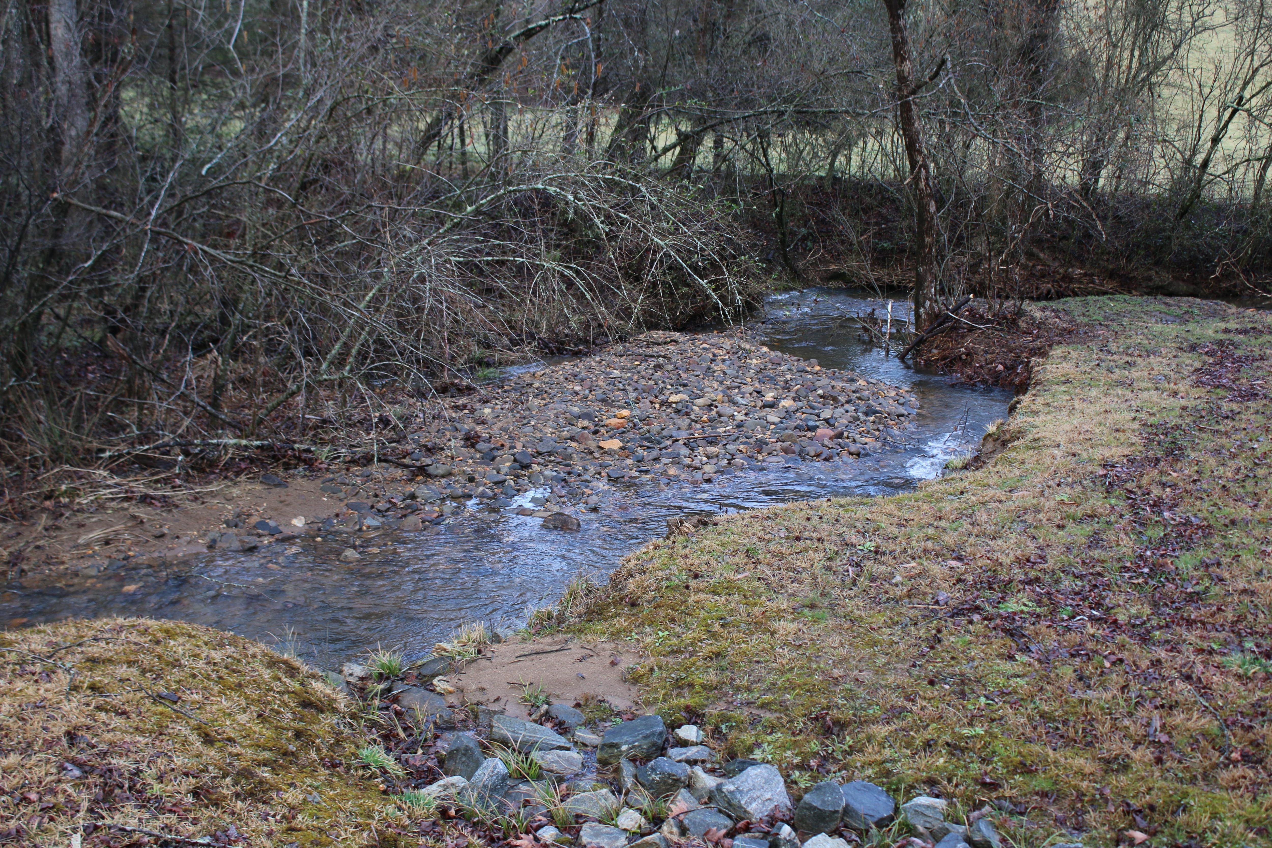 Brook a couple yards behind the house