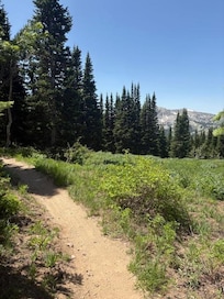 Brighton Trail