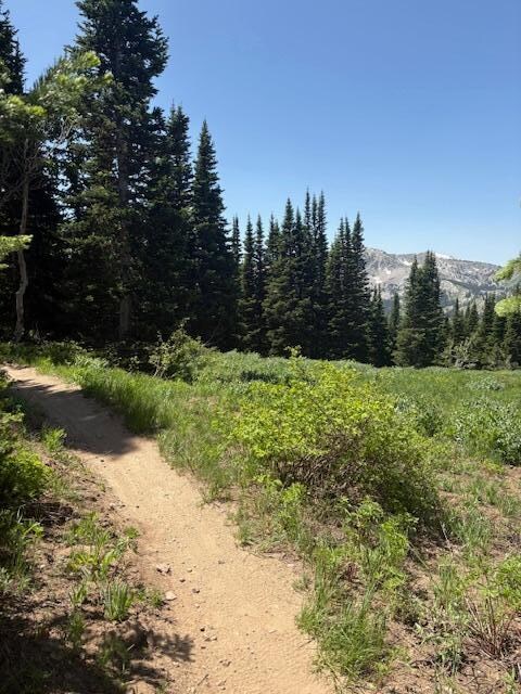 Brighton Trail