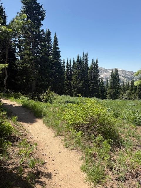 Brighton Trail