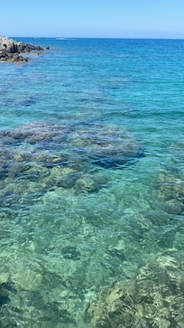 Picture from the pier.