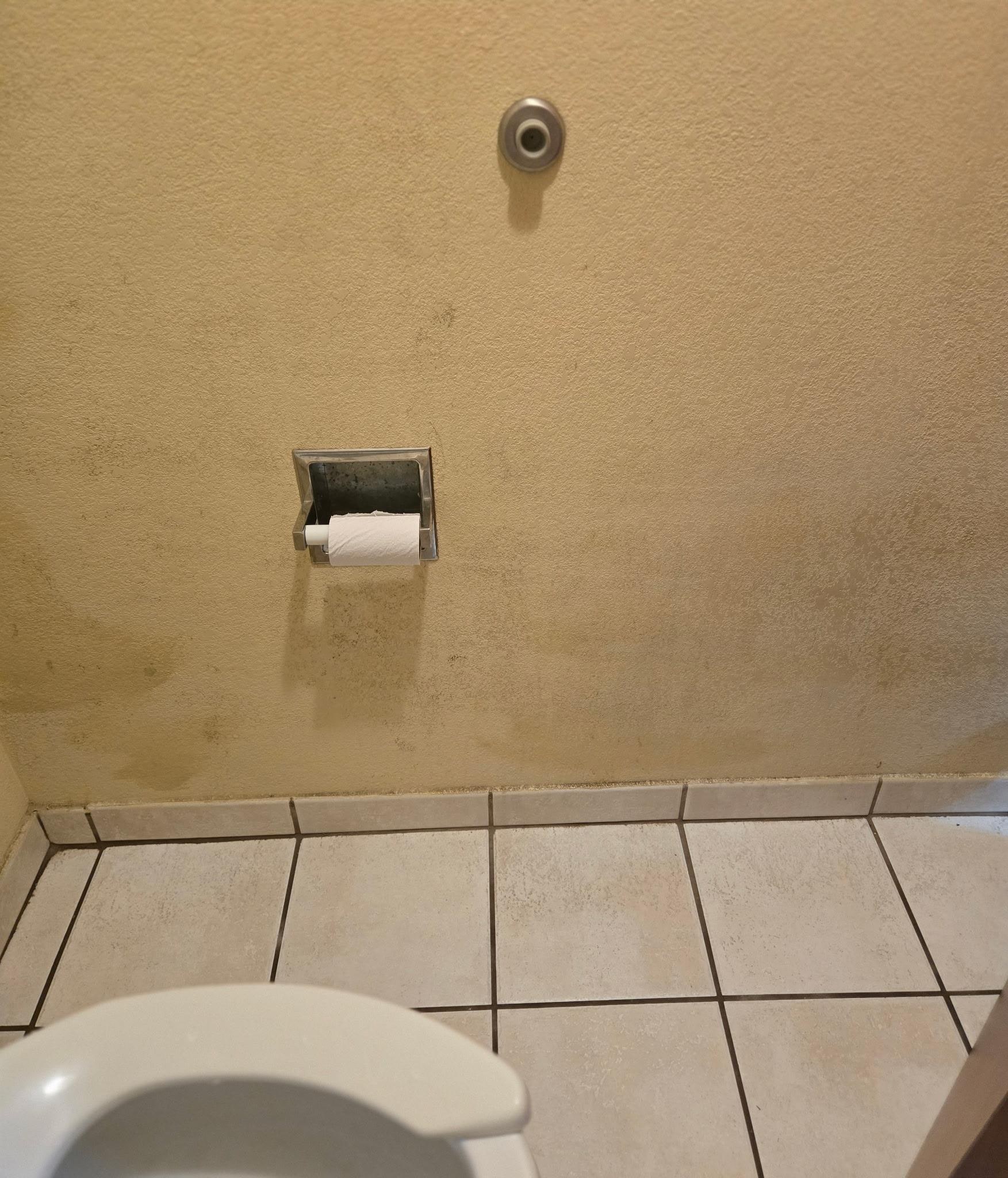 Walls and floors not very clean, toilets gurgle and don't always flush or will flush long after the gurgling.  Tub didn't drain at times. Paint in very poor condition. Hair in bathtub.  Cover up paint in many colors covering water and mold.