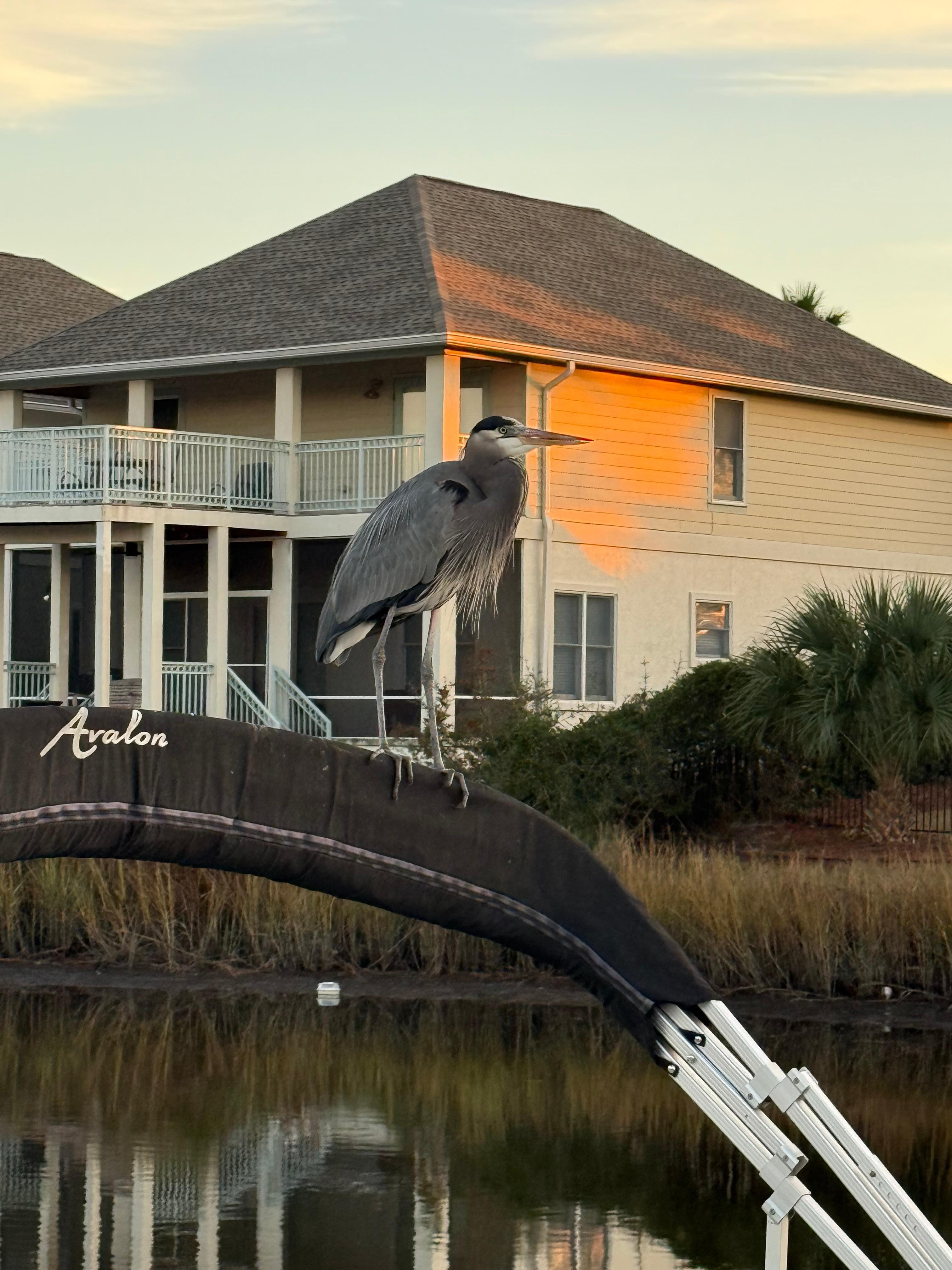 Fred was fun to watch!