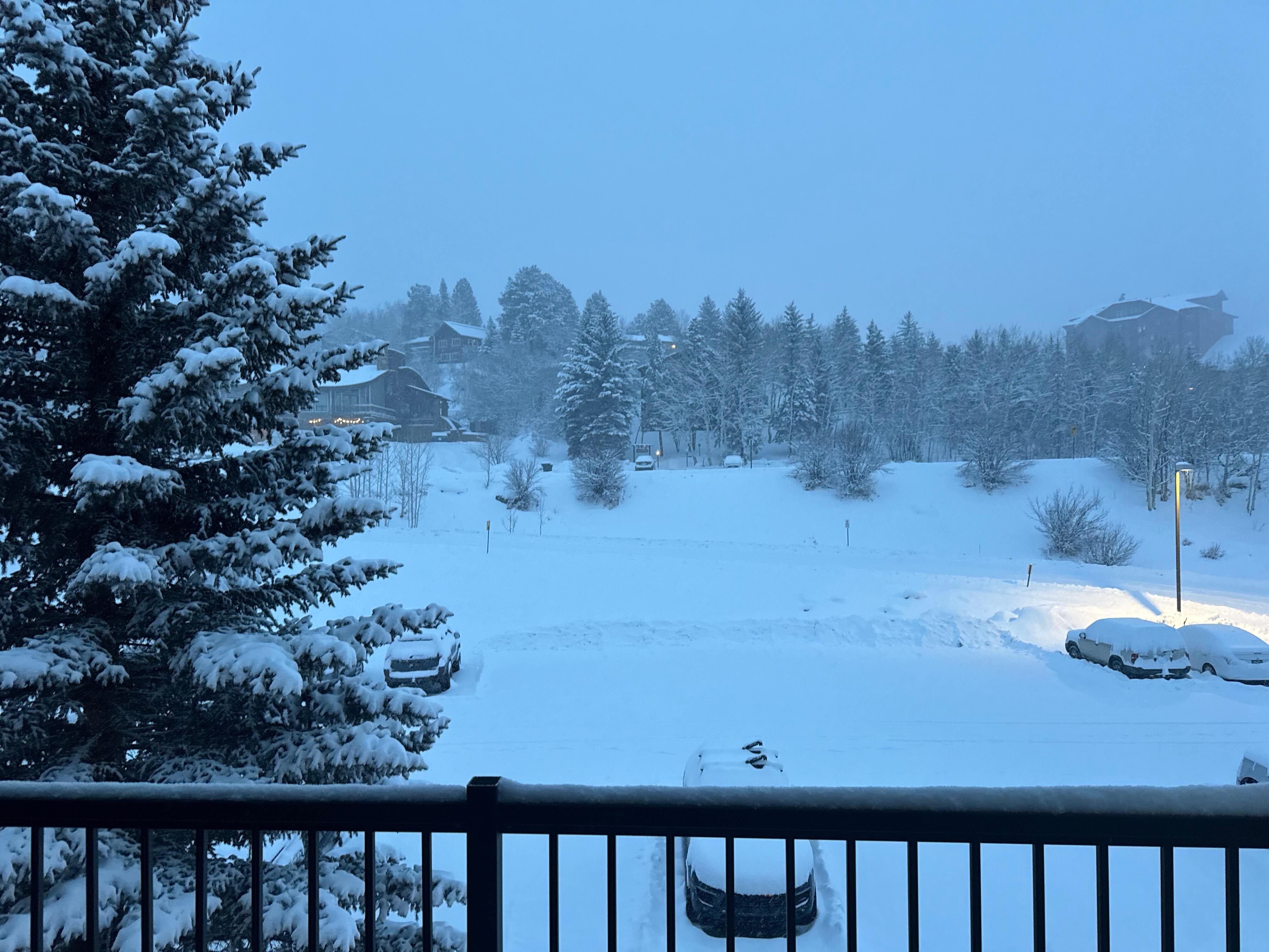 View from living room