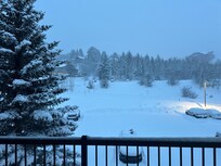 View from living room