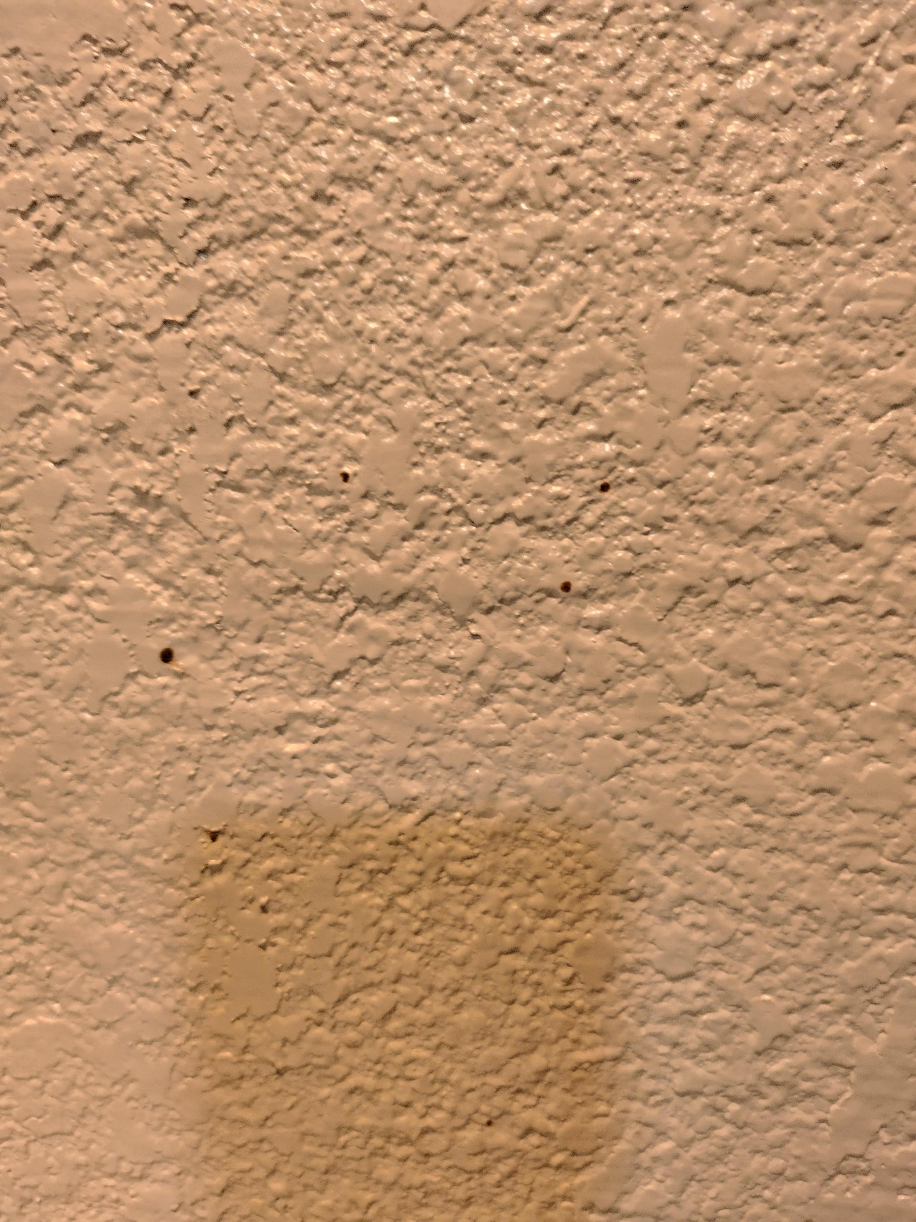 blood splatters on the wall