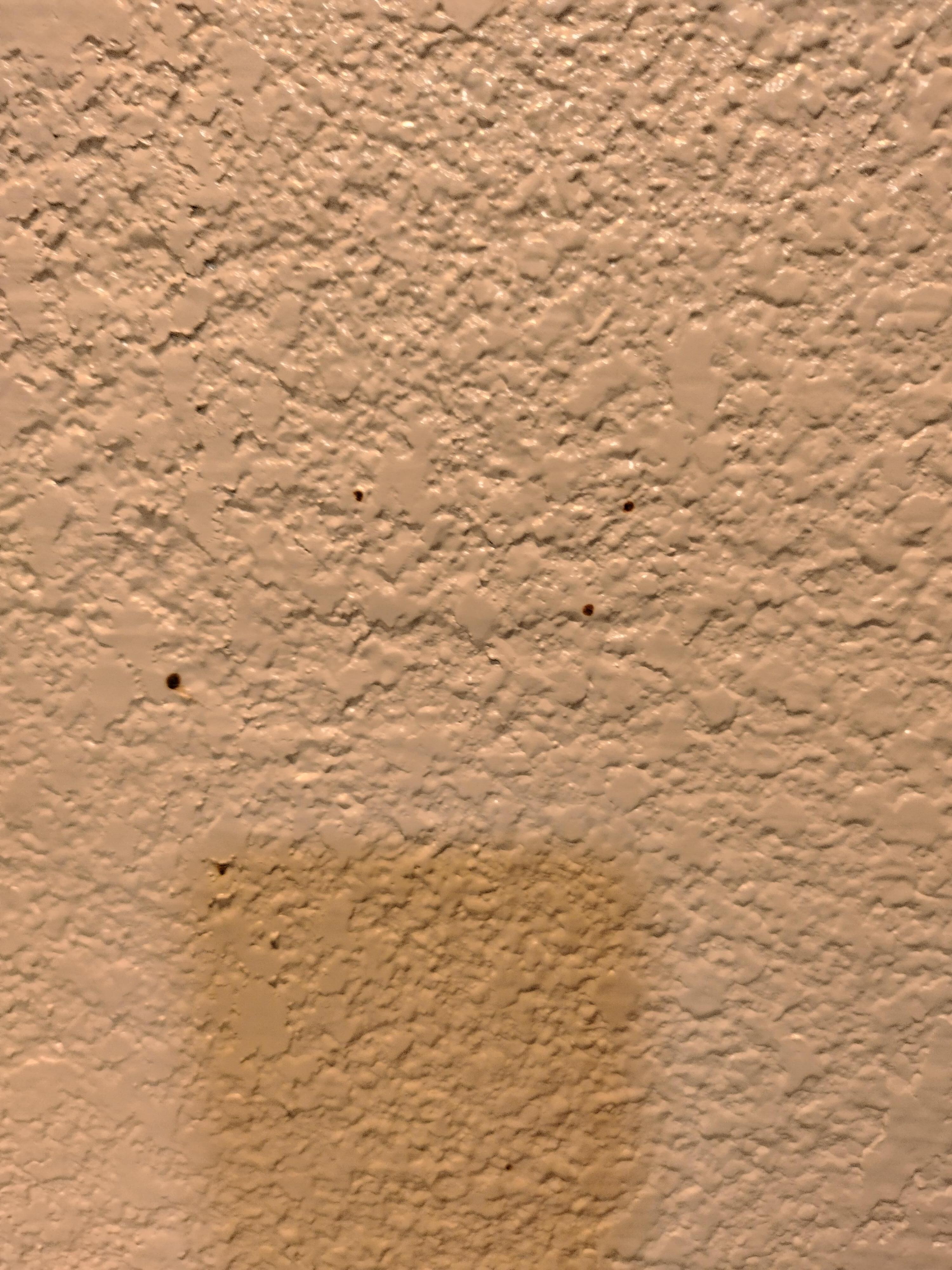 blood splatters on the wall
