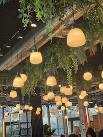 Ambiance chaleureuse restaurant