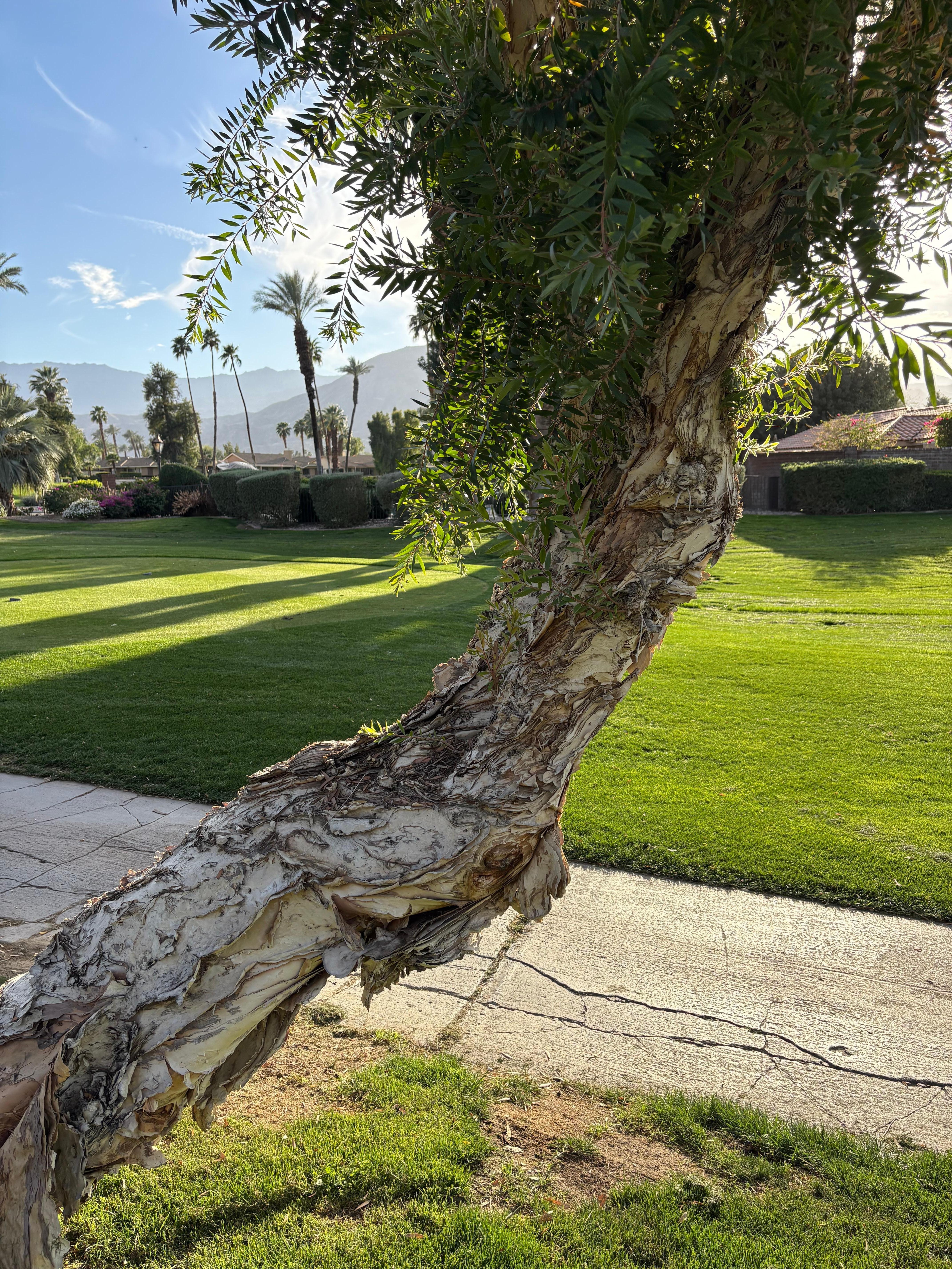 View from the back of the casita. 