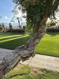 View from the back of the casita.