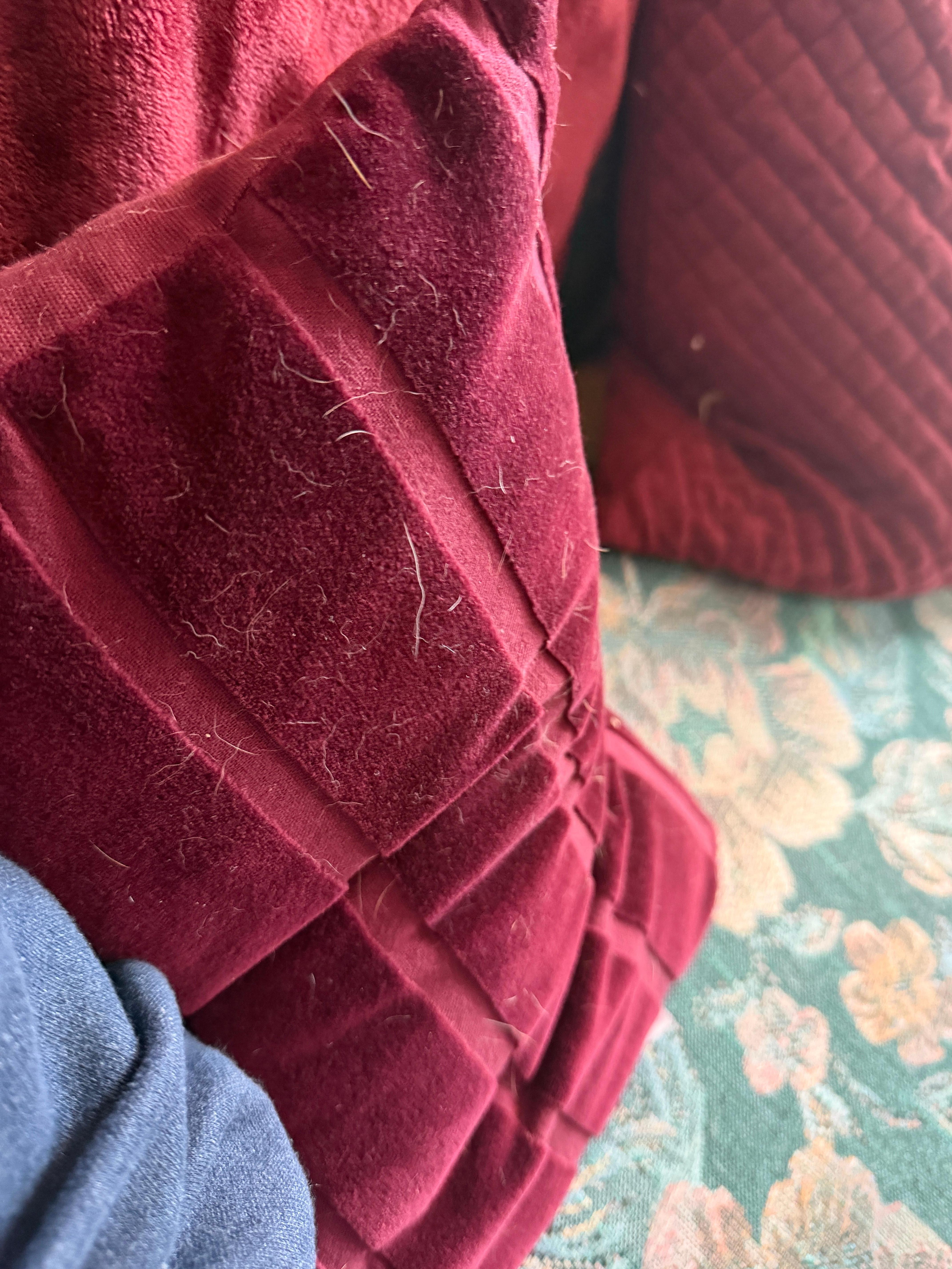 Dog hair on the couch